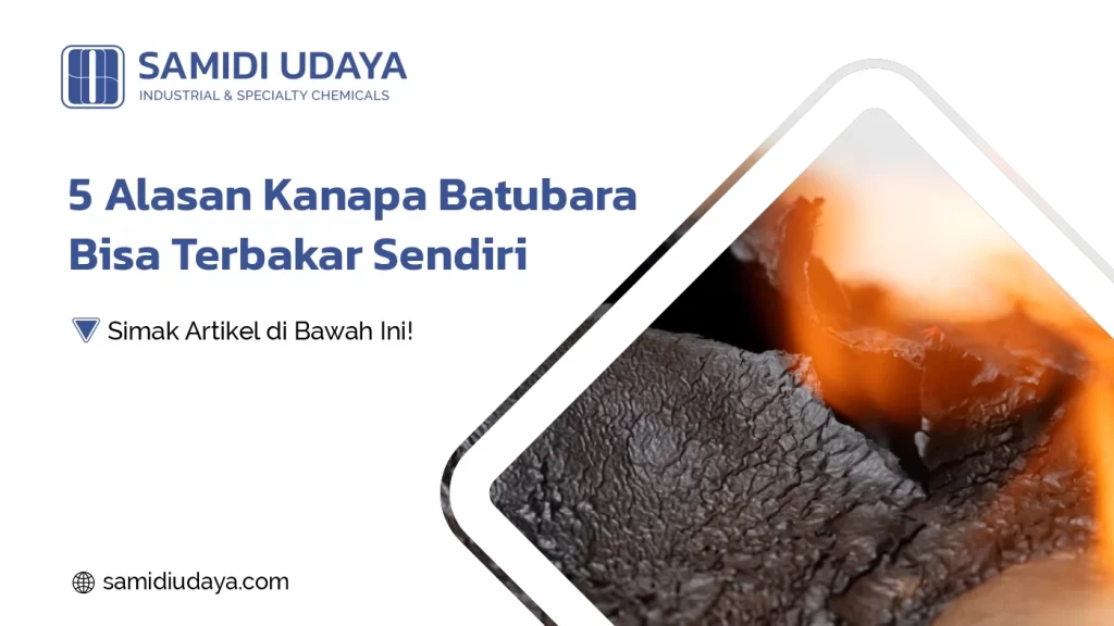 5 Alasan Kanapa Batubara Bisa Terbakar Sendiri