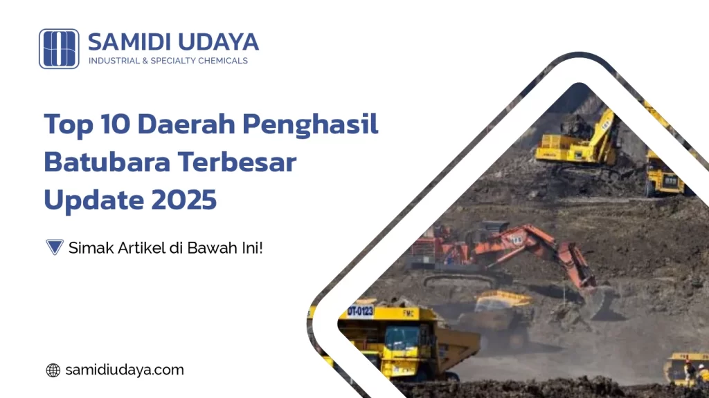 Top 10 Daerah Penghasil Batubara Terbesar Update 2025