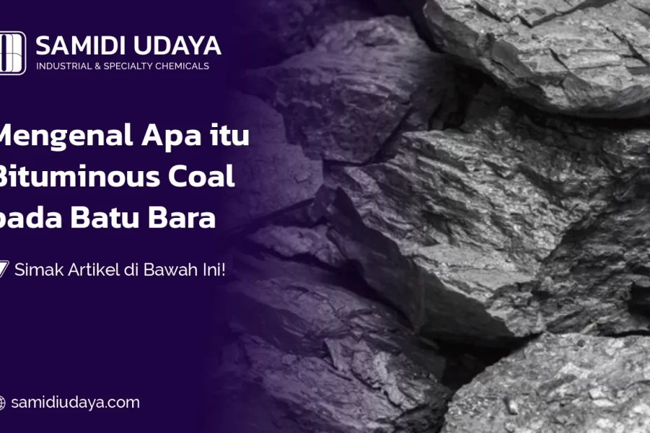 Mengenal Apa itu Bituminous Coal