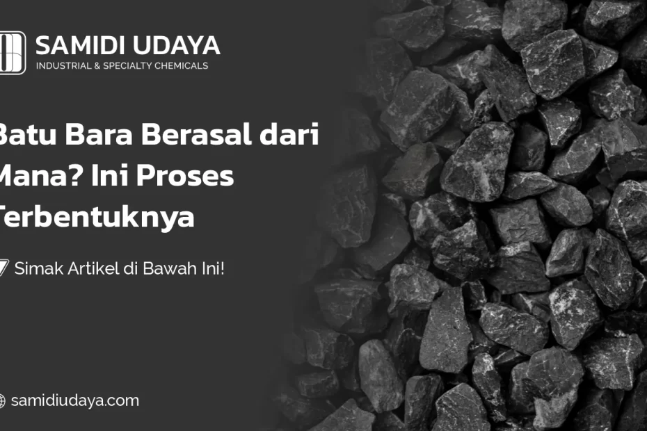 Batu Bara Berasal dari Mana? Ini Proses Terbentuknya