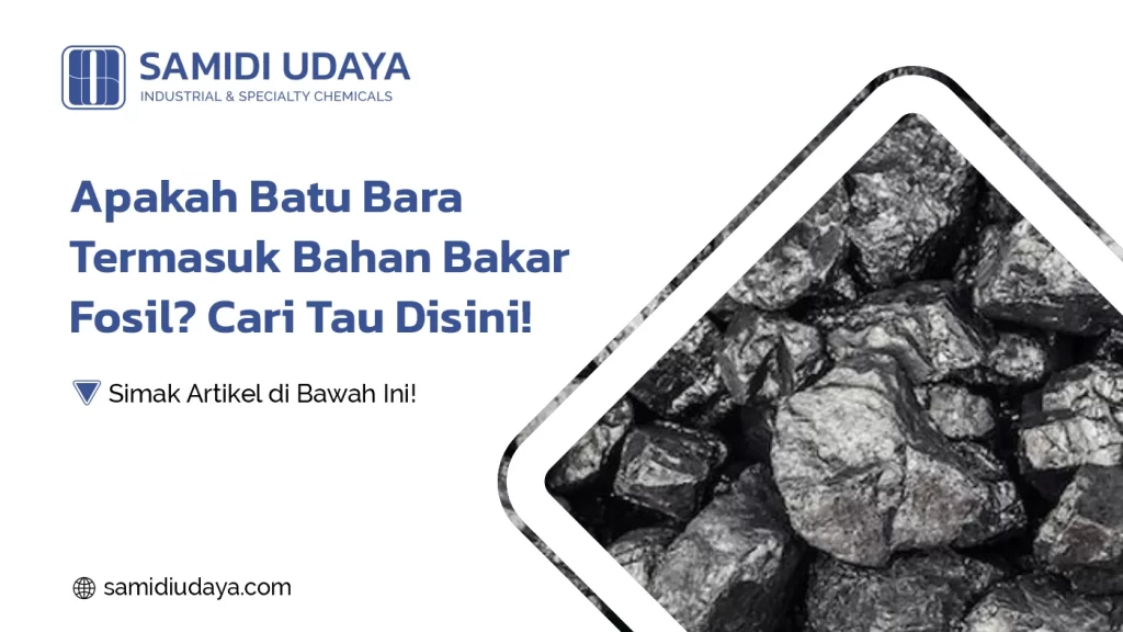 Apakah Batu Bara Termasuk Bahan Bakar Fosil? Cari Tau Disini!