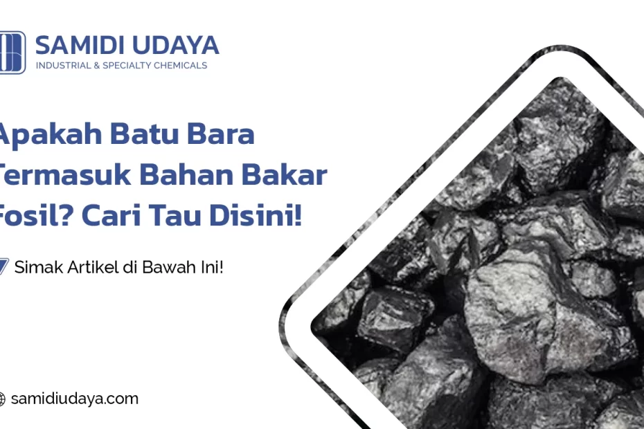 Apakah Batu Bara Termasuk Bahan Bakar Fosil? Cari Tau Disini!