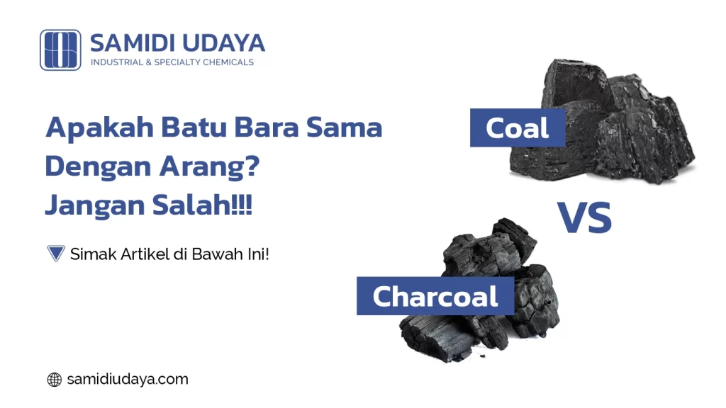 apakah batu bara sama dengan arang
