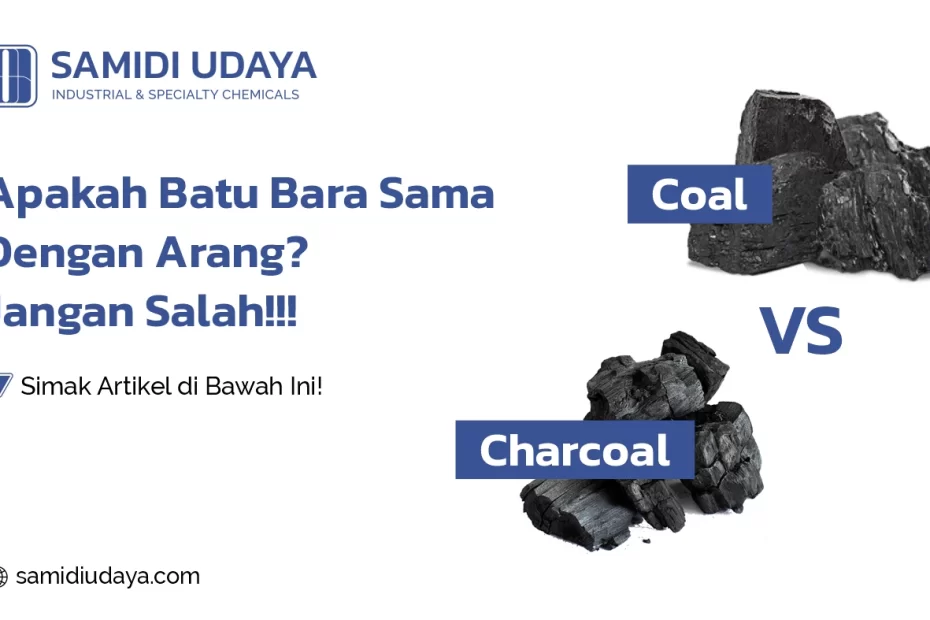 apakah batu bara sama dengan arang