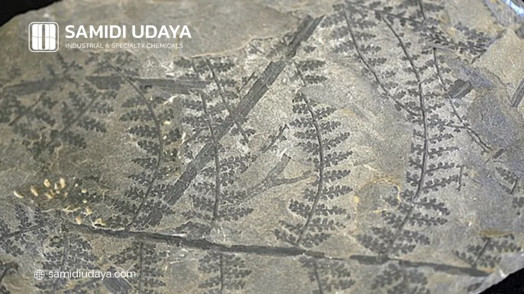 Jadi, Apakah Batu Bara Termasuk Bahan Bakar Fosil?