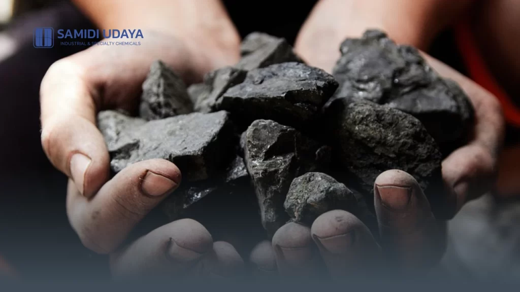 Kandungan Mineral dan Batu Bara