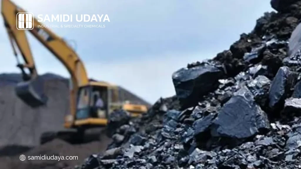 Harga Eceran/Kiloan di Marketplace 2026