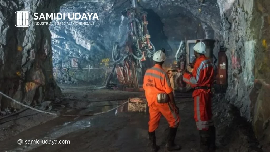 Perusahaan Besar Tambang Batu Bara di Kalimantan