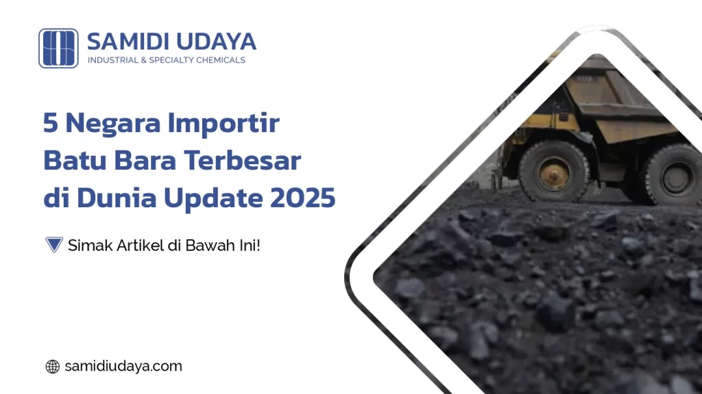5 Negara Importir Batu Bara Terbesar di Dunia Update 2025