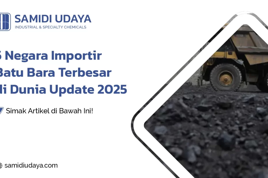 5 Negara Importir Batu Bara Terbesar di Dunia Update 2025