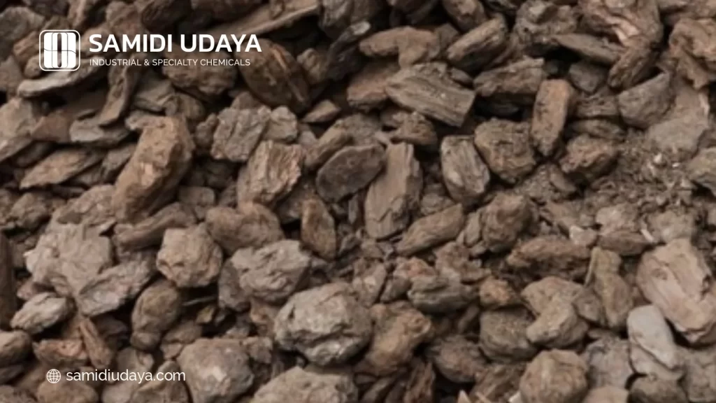 Apa itu Batu Bara Lignit