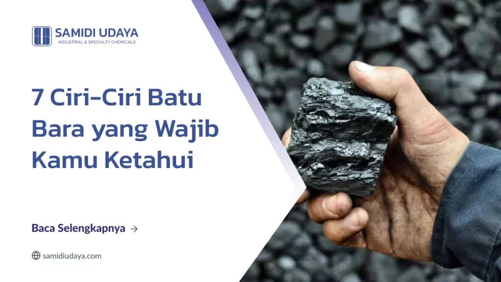 7 Ciri-Ciri Batu Bara Yang Wajib Kamu Ketahui