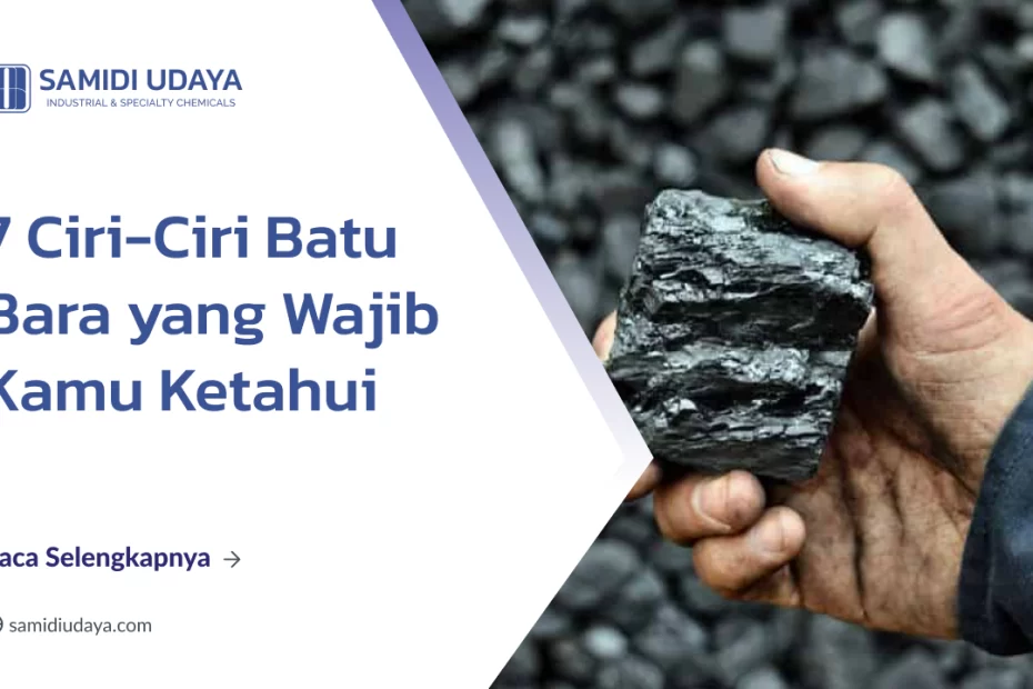 7 Ciri-Ciri Batu Bara Yang Wajib Kamu Ketahui