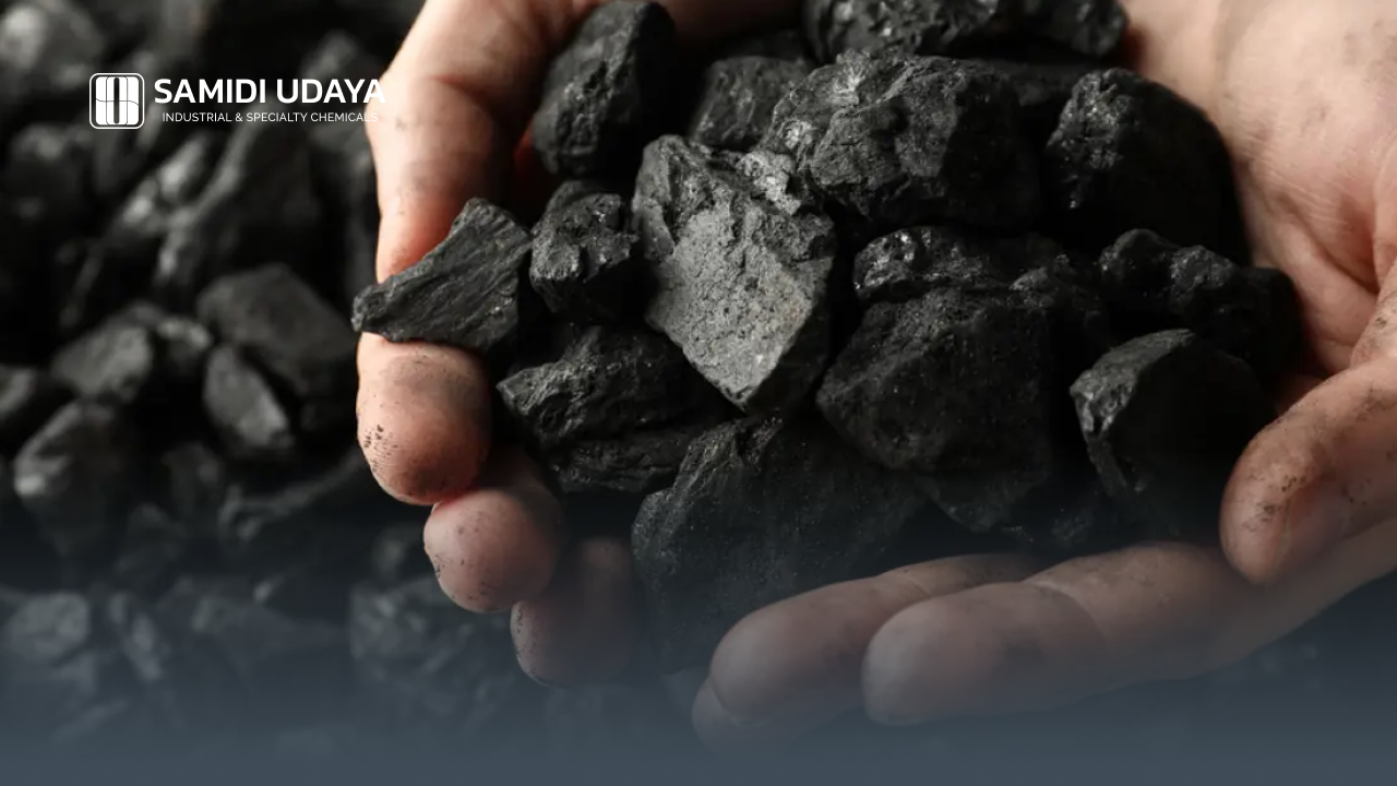 Bagaimana Batu Bara Bisa Terbentuk