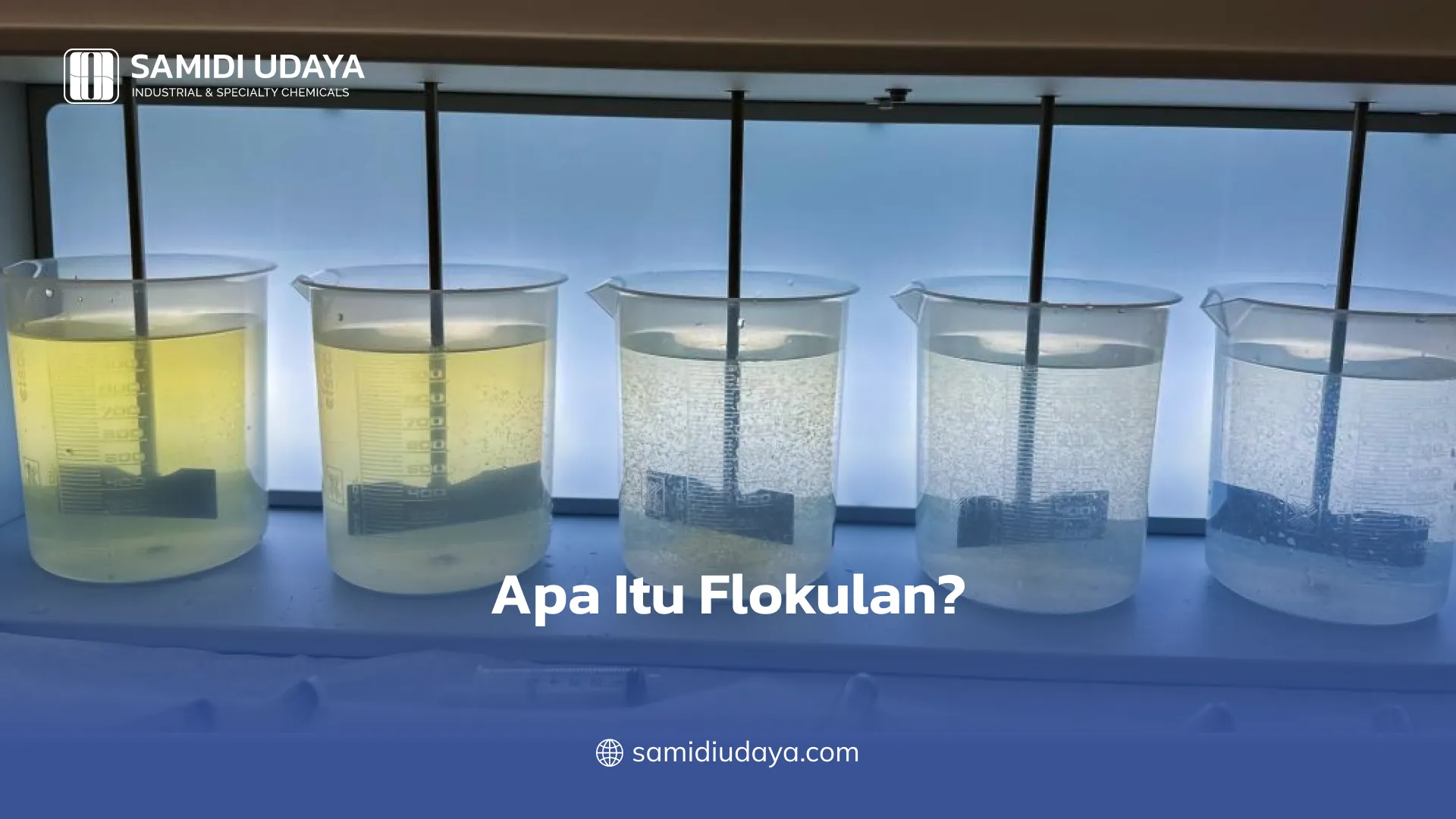 Apa Itu Flokulan?