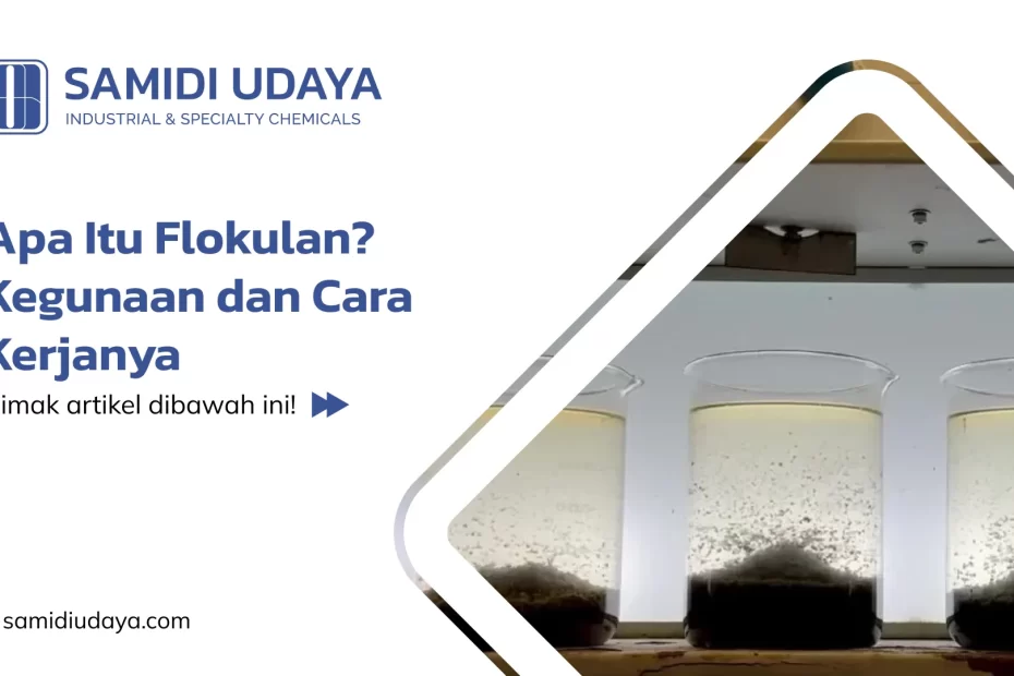 Apa Itu Flokulan? Kegunaan dan Cara Kerjanya