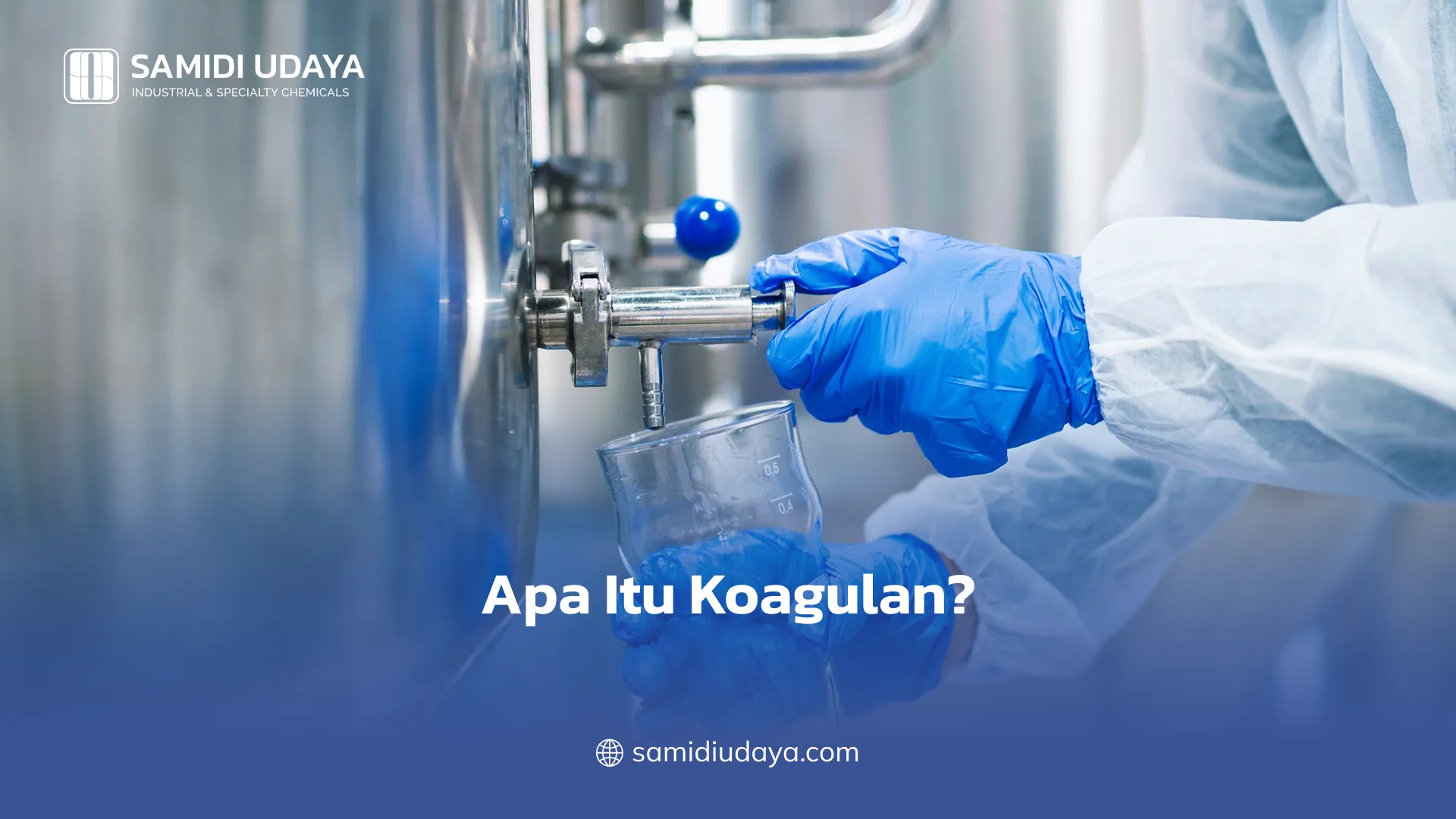 Apa Itu Koagulan?