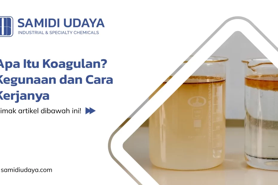 Apa Itu Koagulan? Kegunaan dan Cara Kerjanya