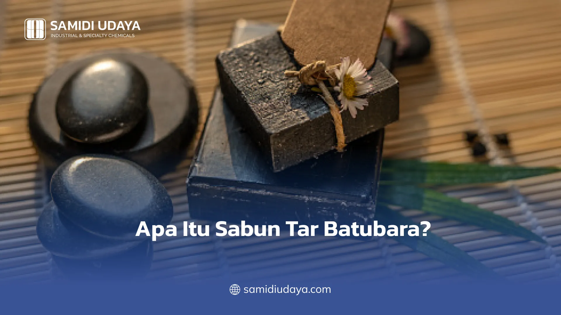 Apa Itu Sabun Tar Batubara?