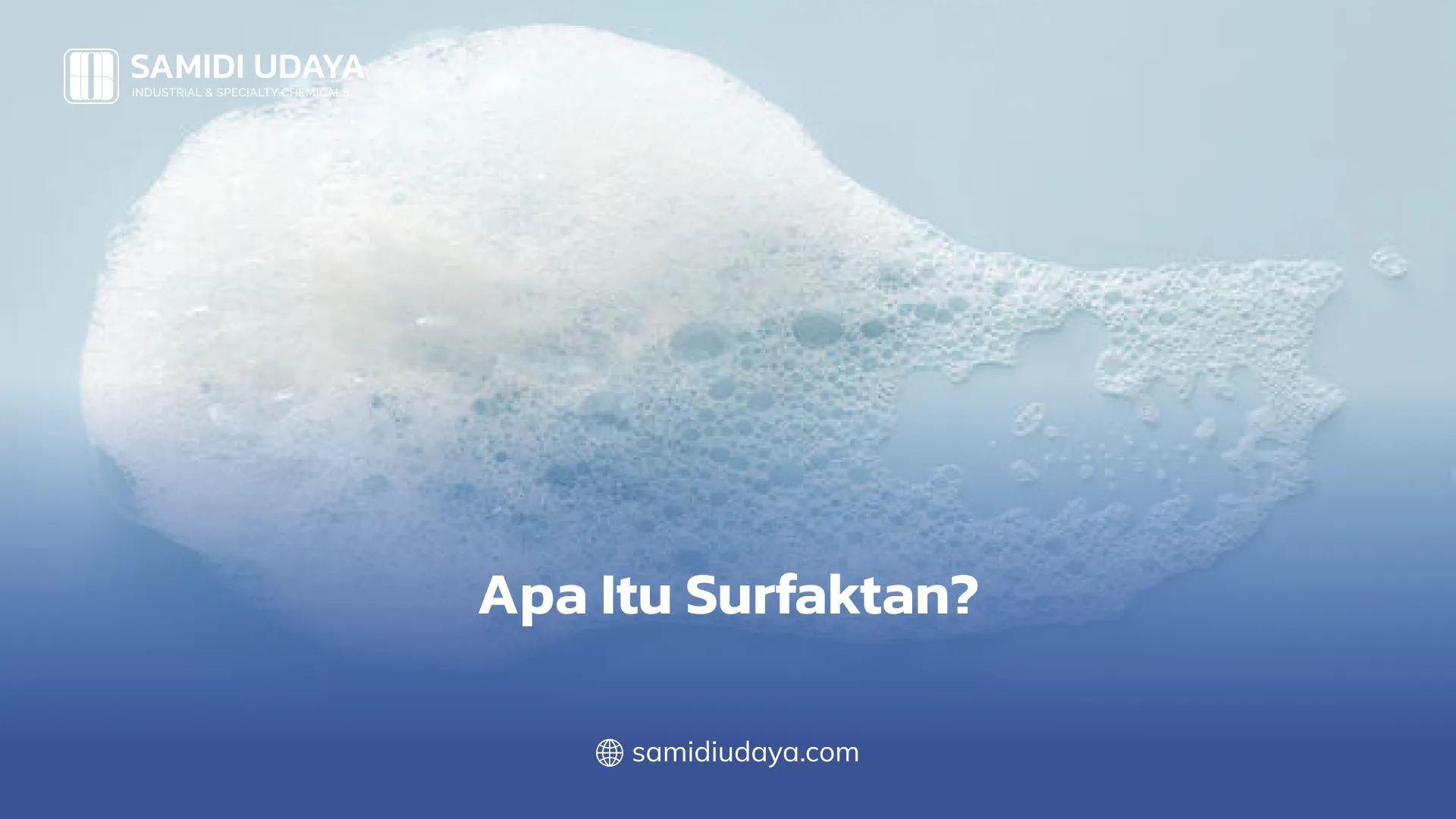 Apa Itu Surfaktan?