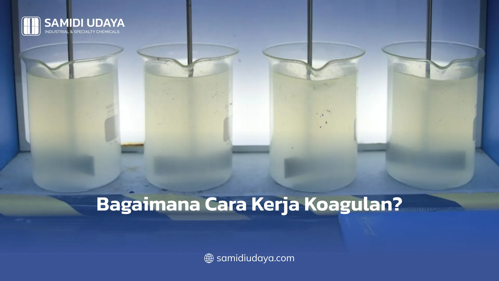 Bagaimana Cara Kerja Koagulan?