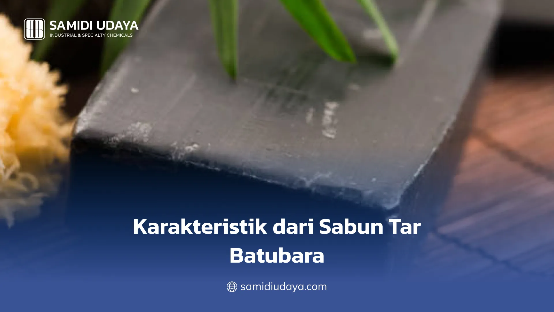Karakteristik dari Sabun Tar Batubara