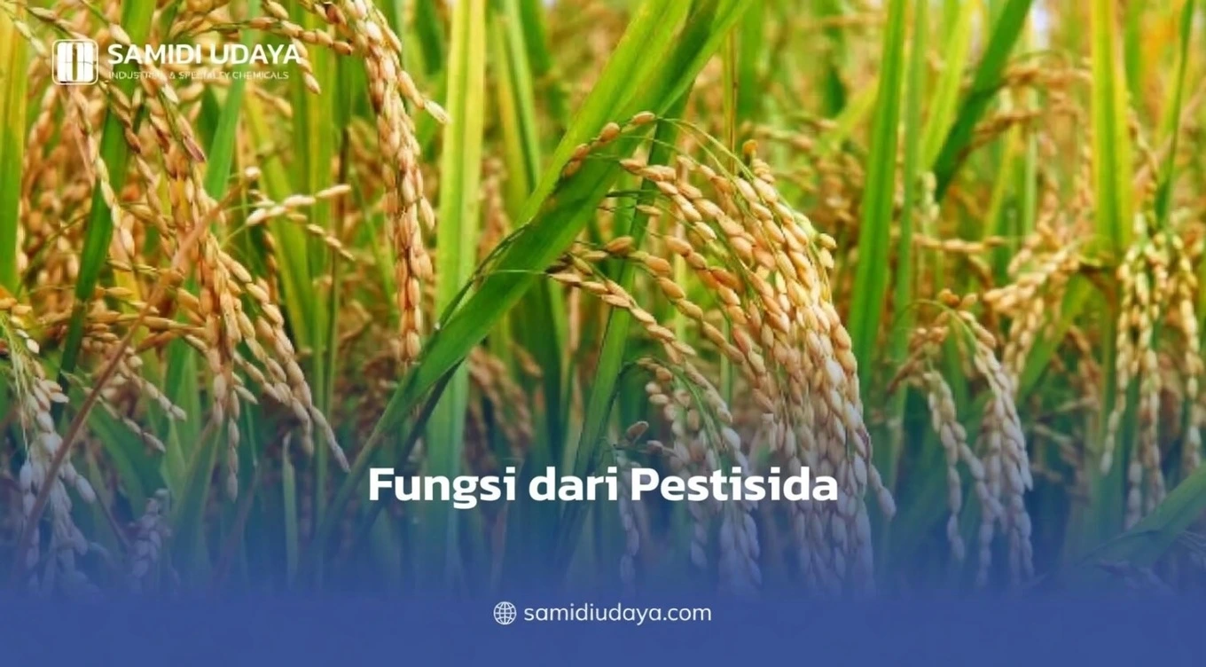 Fungsi dari Pestisida