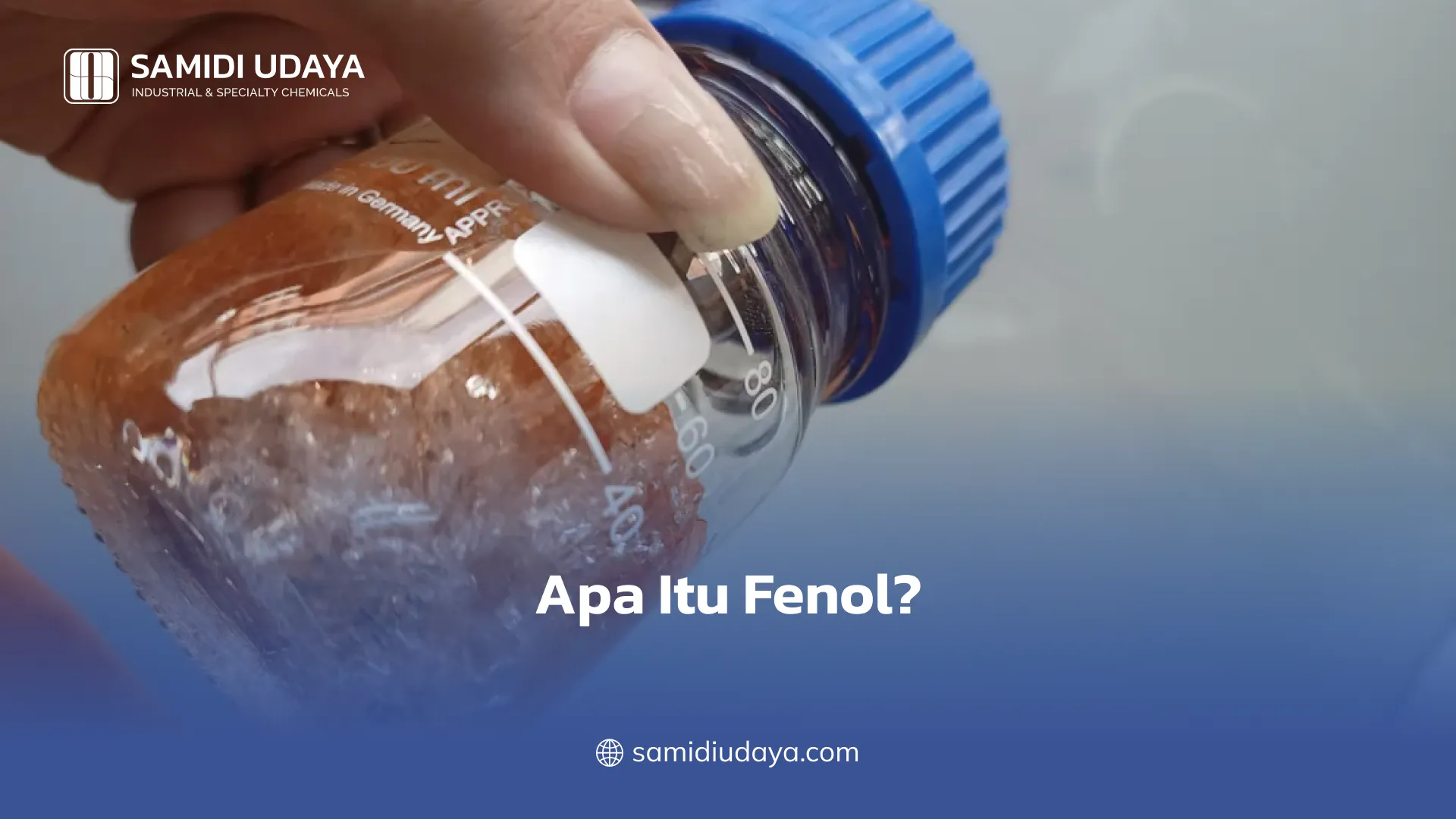 Apa Itu Fenol?