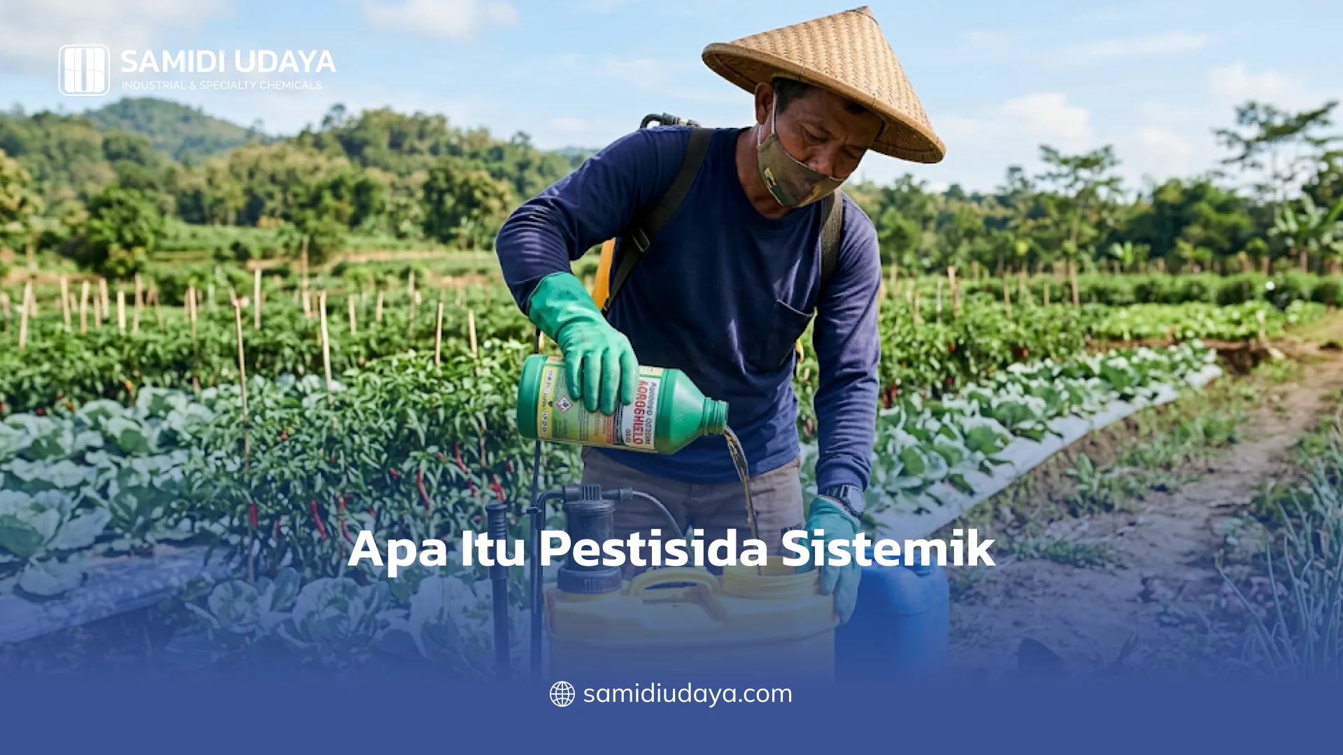 Apa Itu Pestisida Sistemik