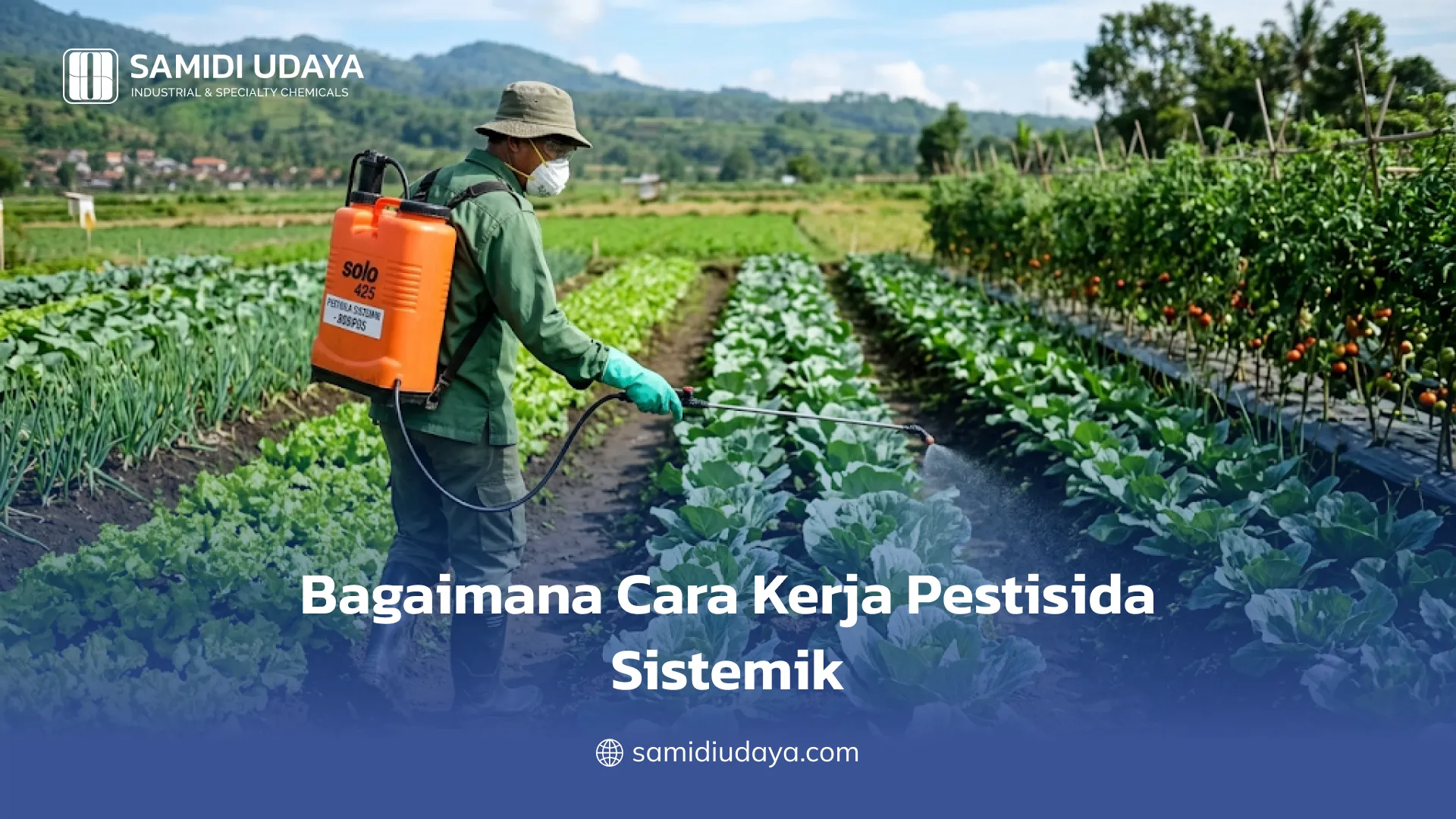 Bagaimana Cara Kerja Pestisida Sistemik