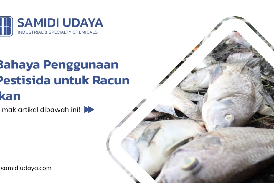 Bahaya Penggunaan Pestisida untuk Racun Ikan
