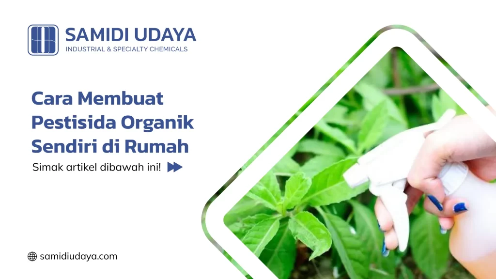 Cara Membuat Pestisida Organik Sendiri di Rumah