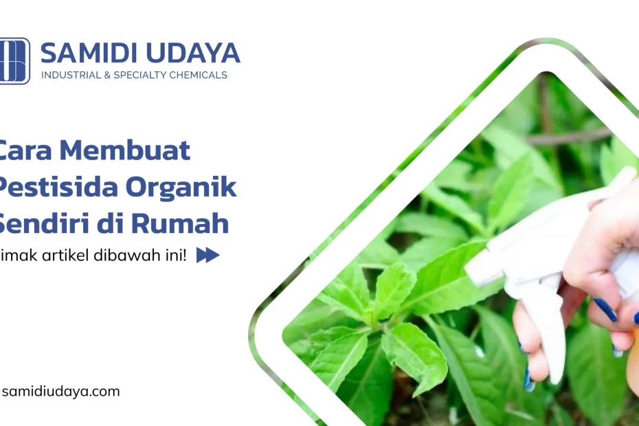 Cara Membuat Pestisida Organik Sendiri di Rumah