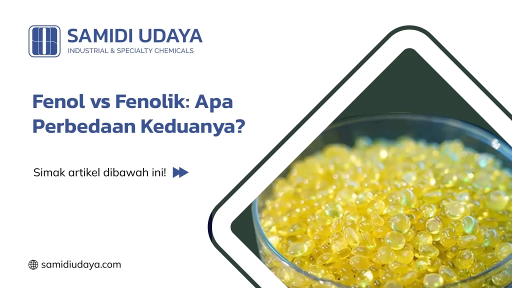Fenol vs Fenolik: Apa Perbedaan Keduanya?
