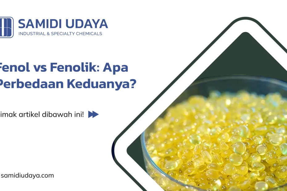 Fenol vs Fenolik: Apa Perbedaan Keduanya?