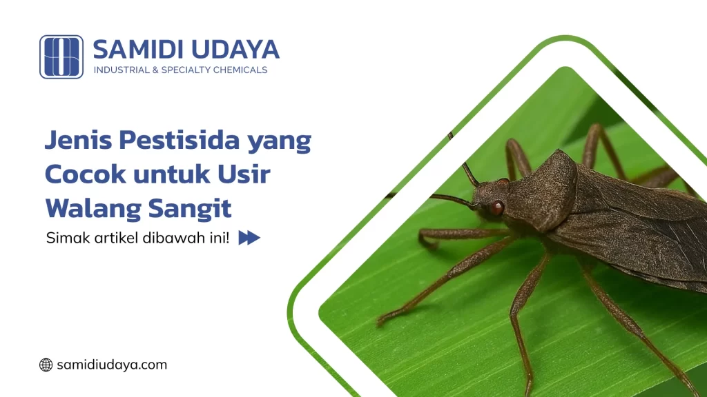 Jenis Pestisida yang Cocok untuk Usir Walang Sangit