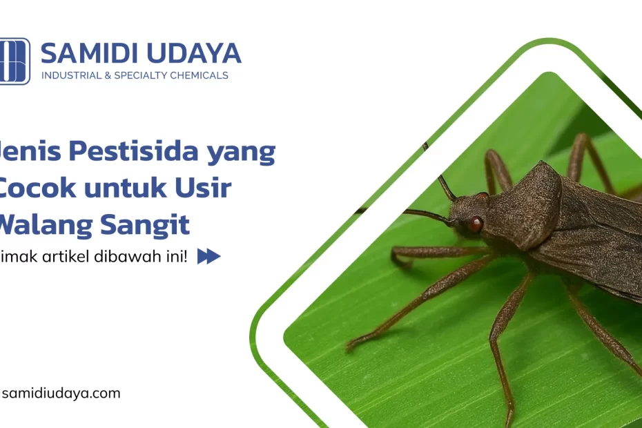 Jenis Pestisida yang Cocok untuk Usir Walang Sangit