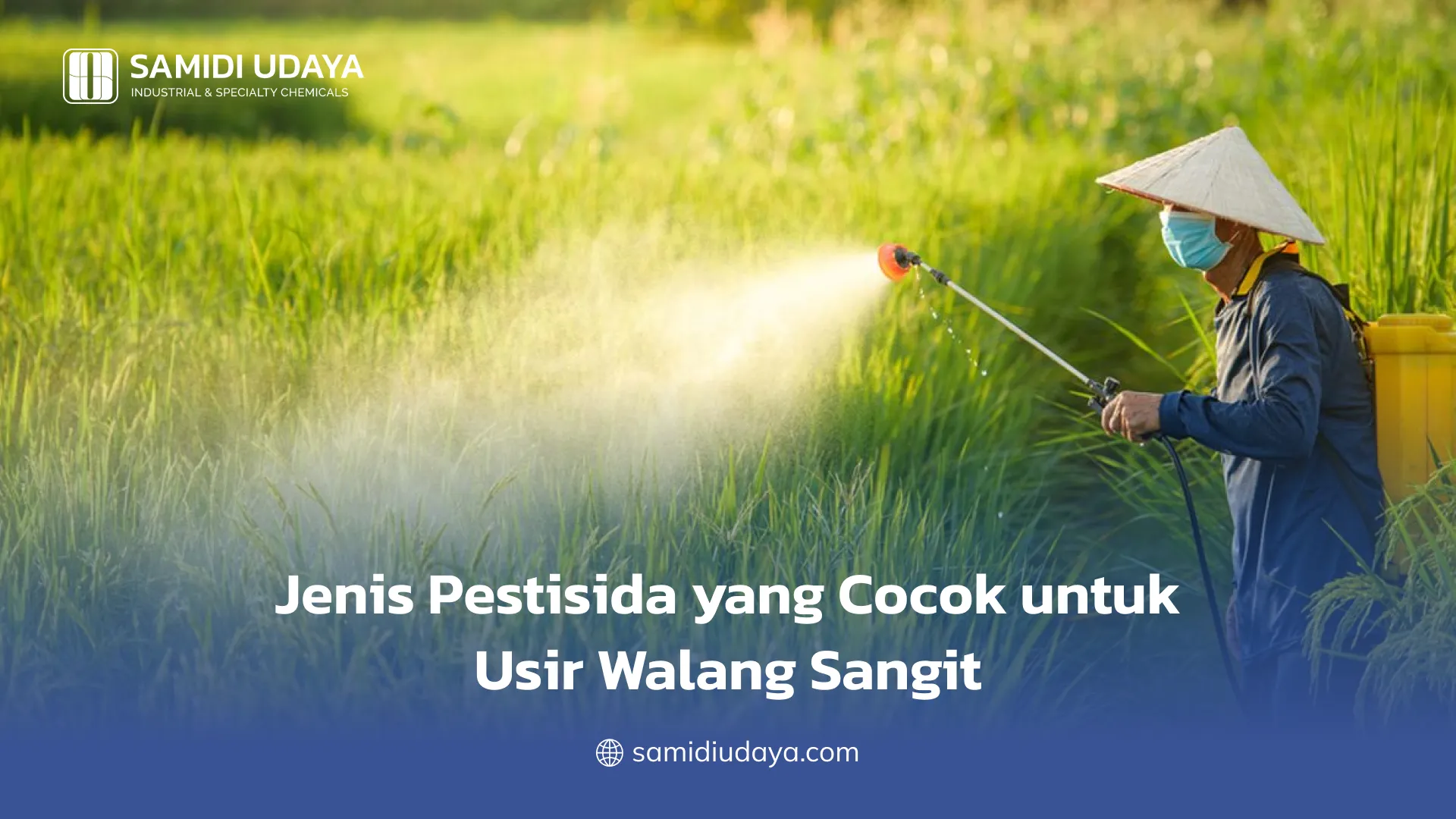 Jenis Pestisida yang Cocok untuk Usir Walang Sangit
