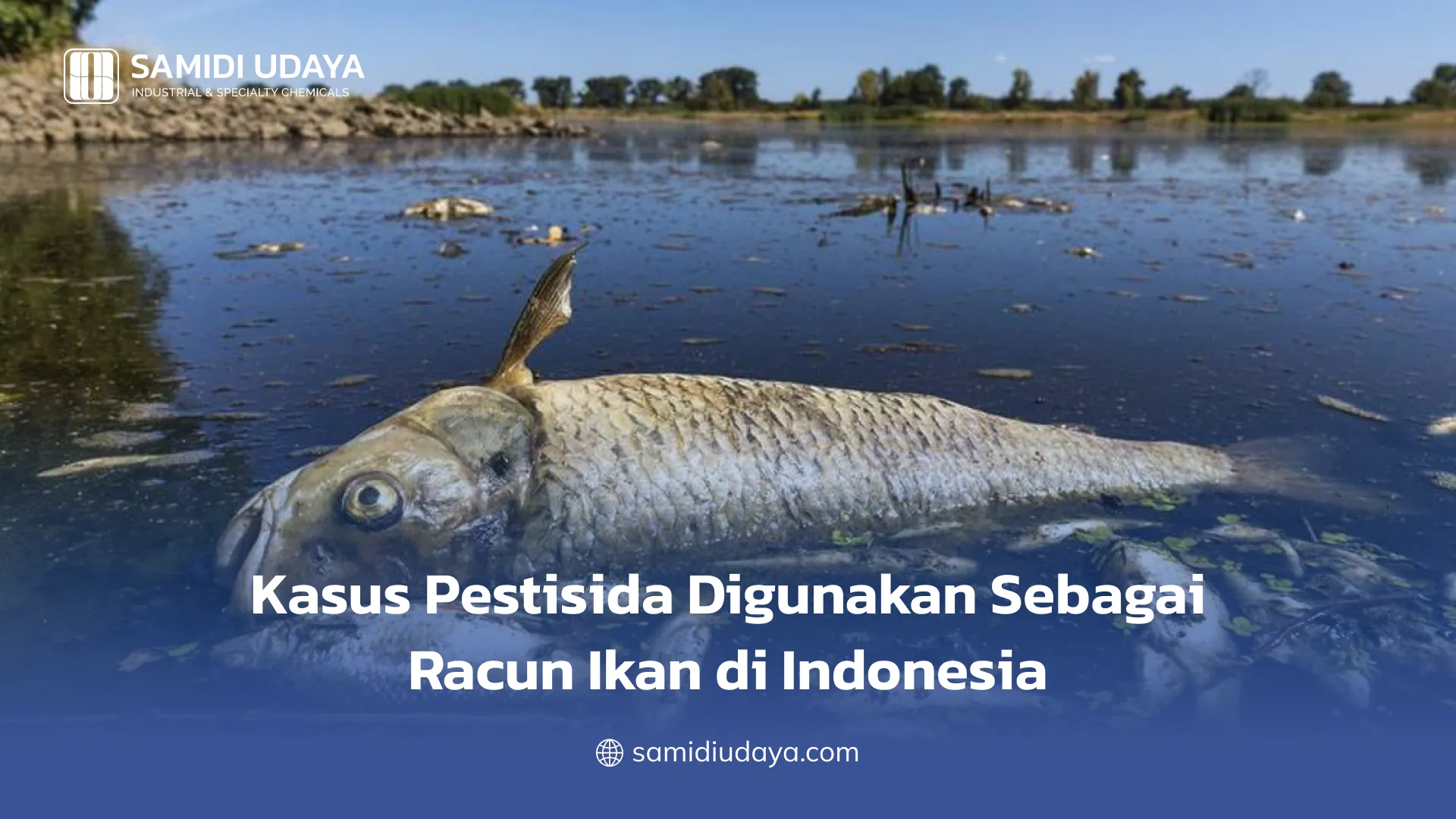 Kasus Pestisida Digunakan Sebagai Racun Ikan di Indonesia