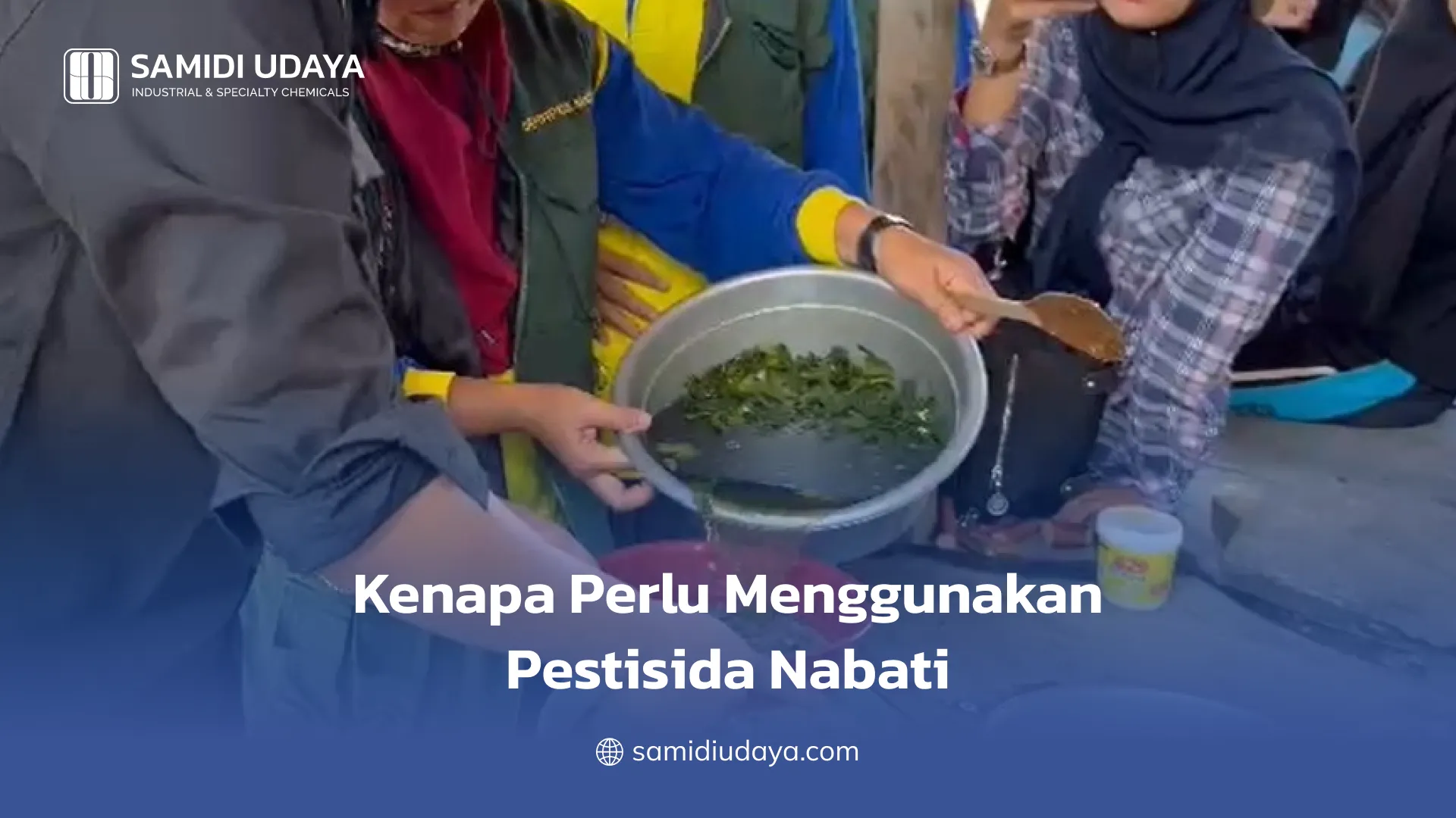 Kenapa Perlu Menggunakan Pestisida Nabati