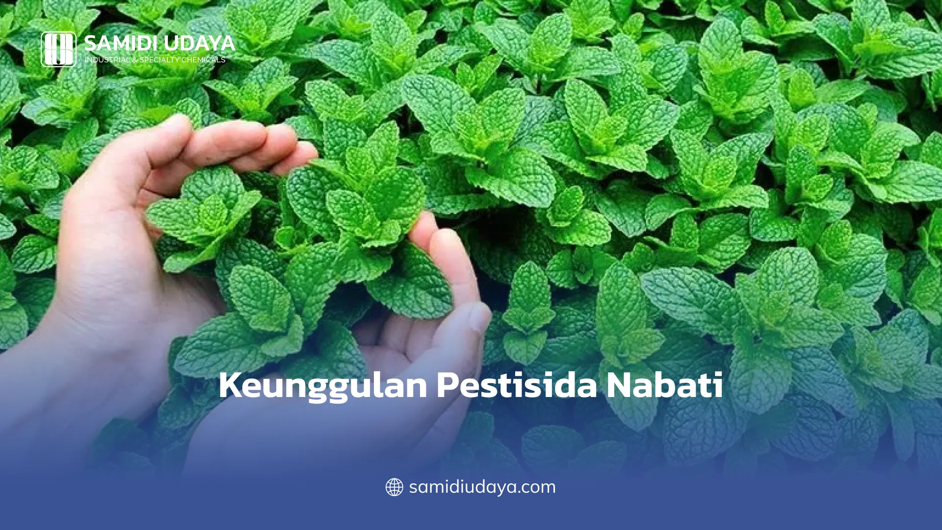Keunggulan Pestisida Nabati