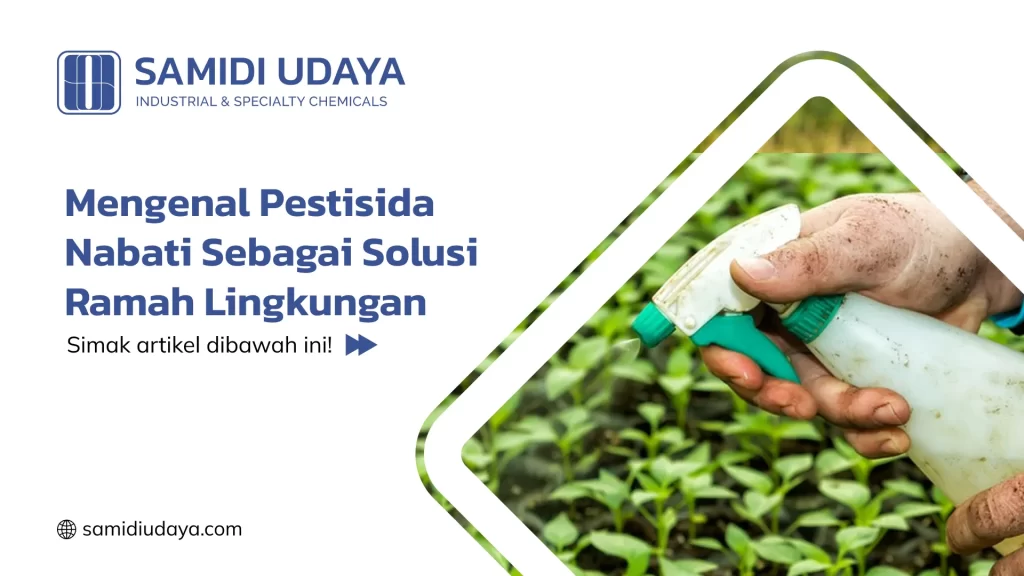 Mengenal Pestisida Nabati Sebagai Solusi Ramah Lingkungan