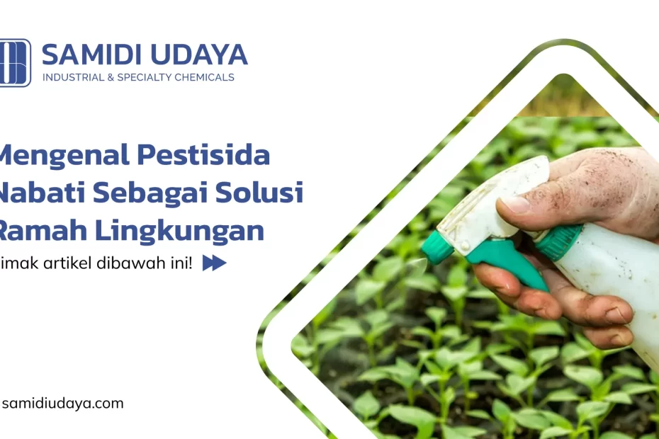 Mengenal Pestisida Nabati Sebagai Solusi Ramah Lingkungan