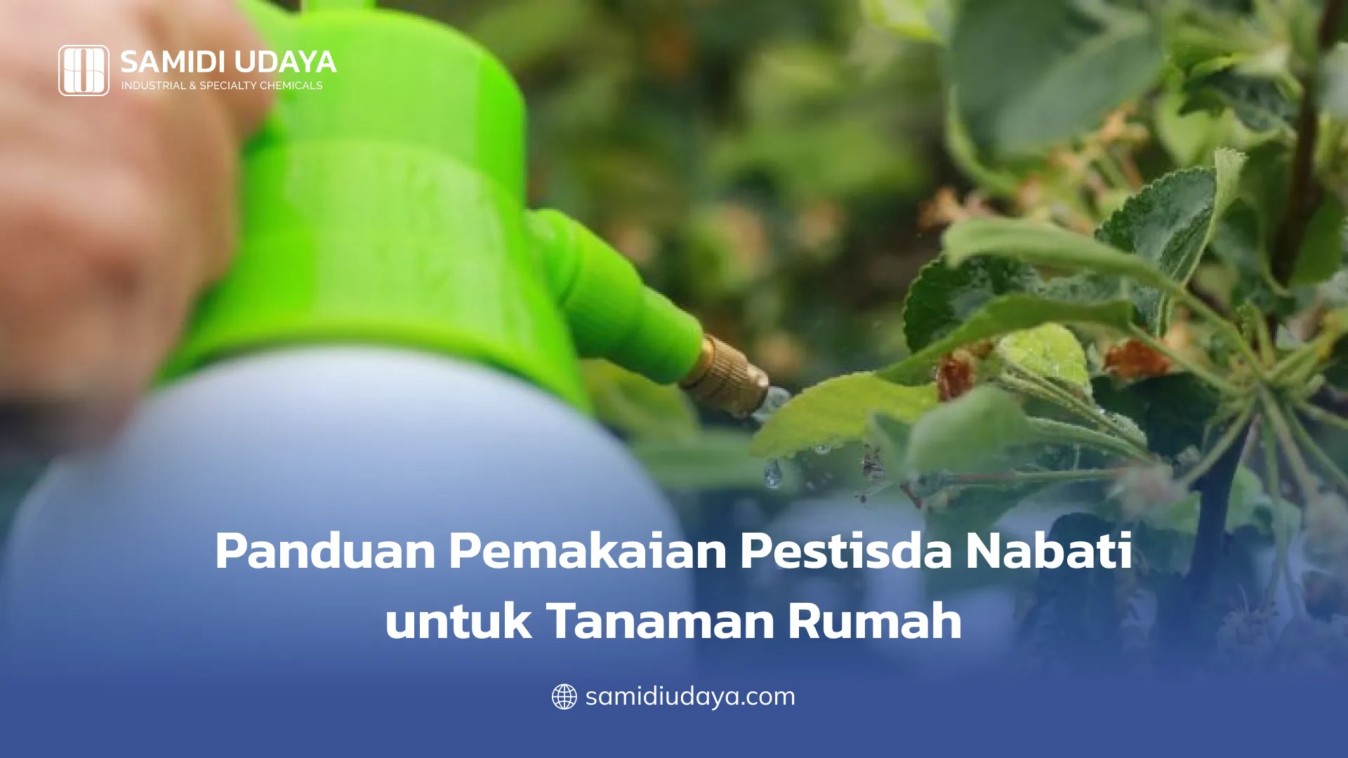 Panduan Pemakaian Pestisida Nabati untuk Tanaman Rumah