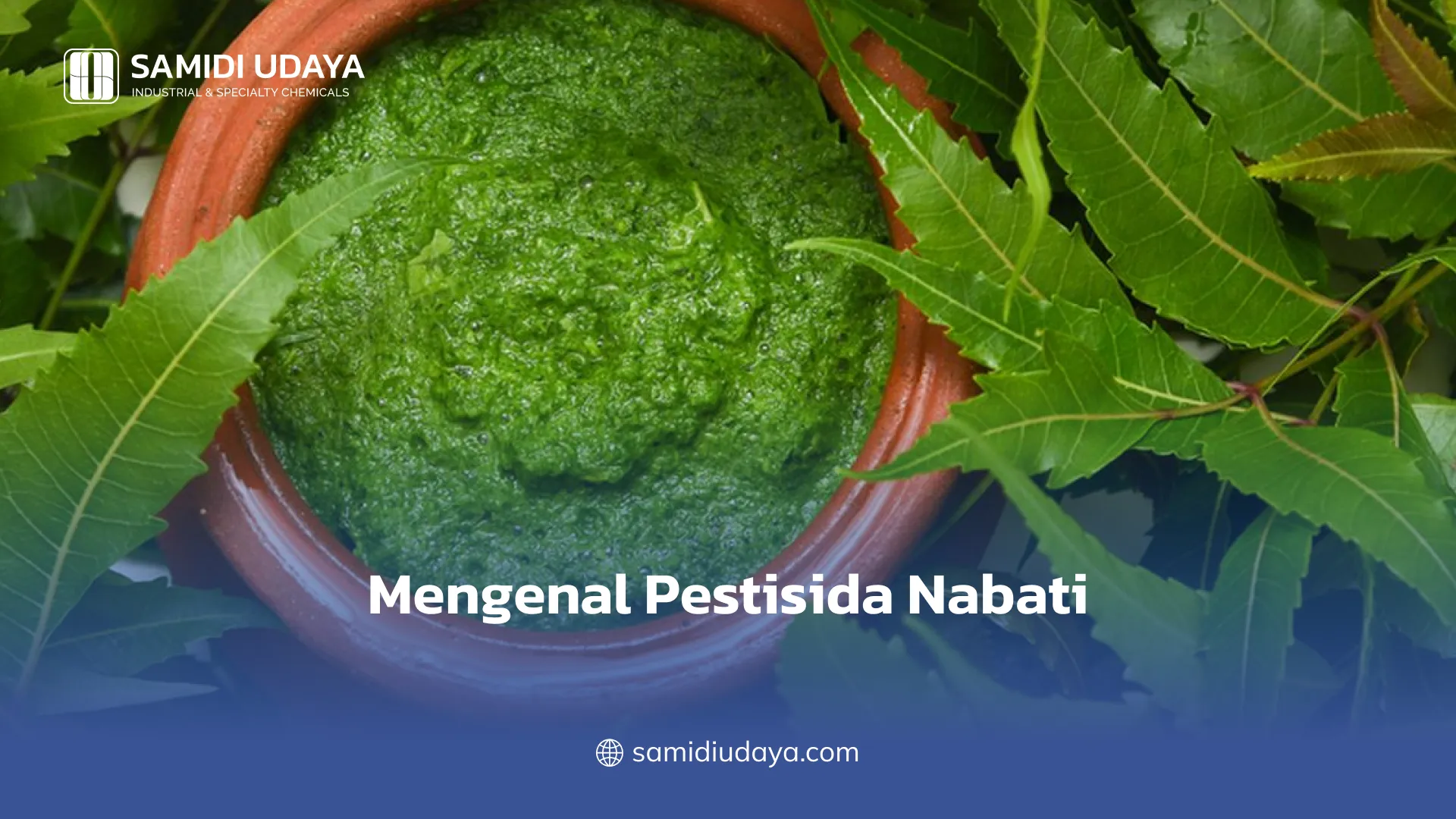 Mengenal Pestisida Nabati