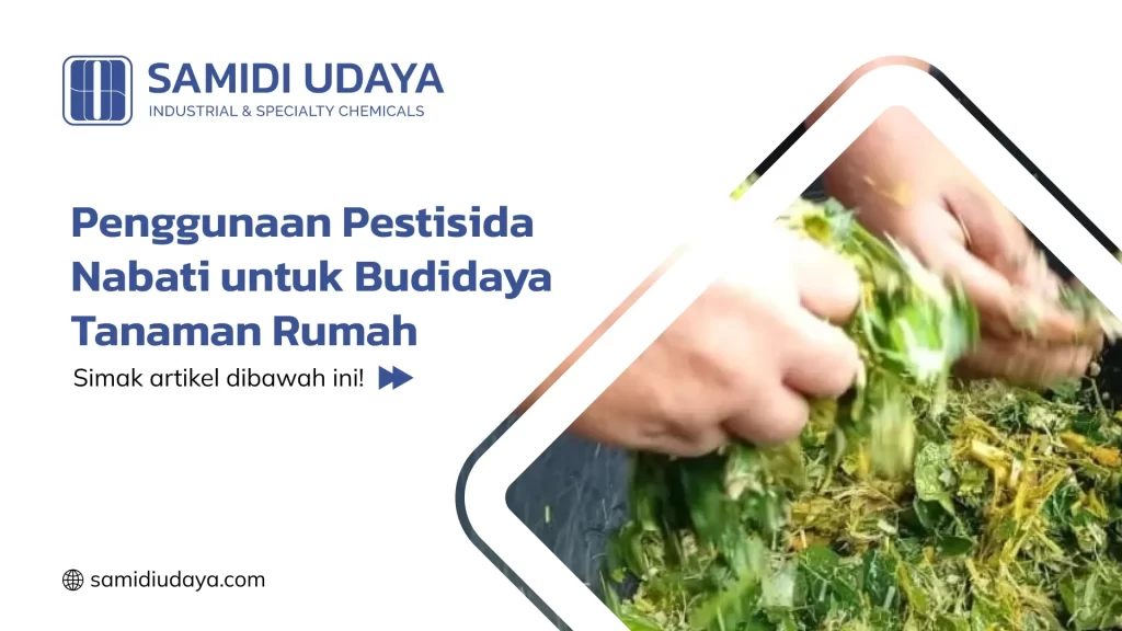 Penggunaan Pestisida Nabati untuk Budidaya Tanaman Rumah