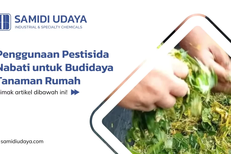 Penggunaan Pestisida Nabati untuk Budidaya Tanaman Rumah