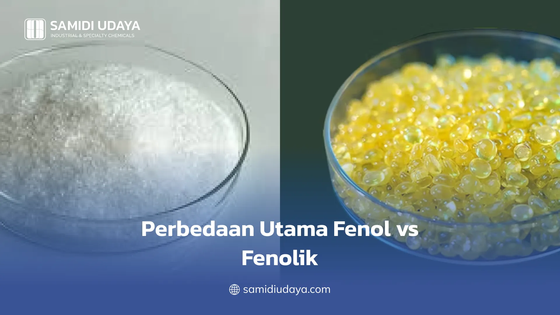 Perbedaan Utama Fenol vs Fenolik