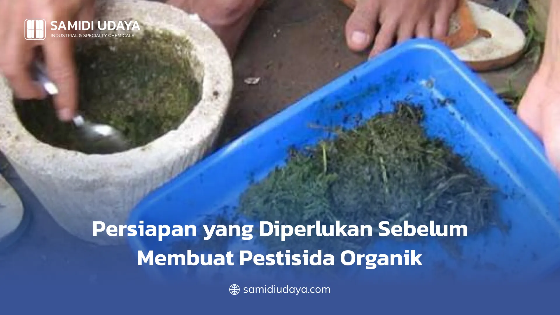 Persiapan yang Diperlukan Sebelum Membuat Pestisida Organik