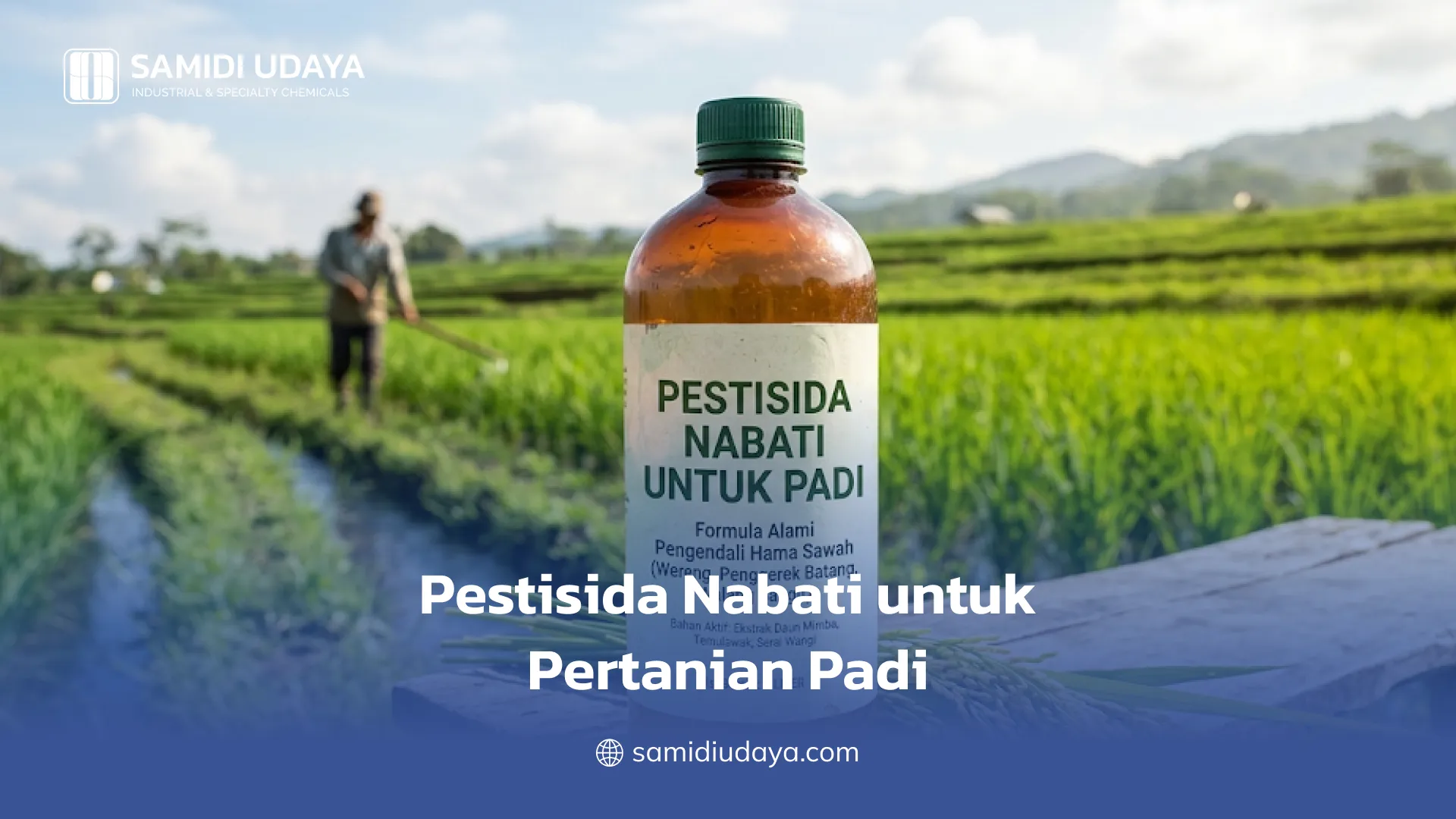 Pestisida Nabati untuk Pertanian Padi